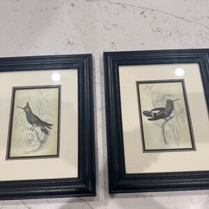 Set of Two Framed Hummingbird Art Prints